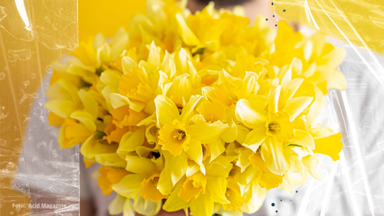 La tradición de regalar flores amarillas el 21 de septiembre
